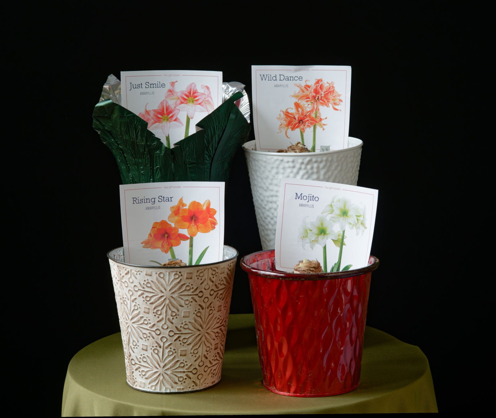 Assembly Not Required